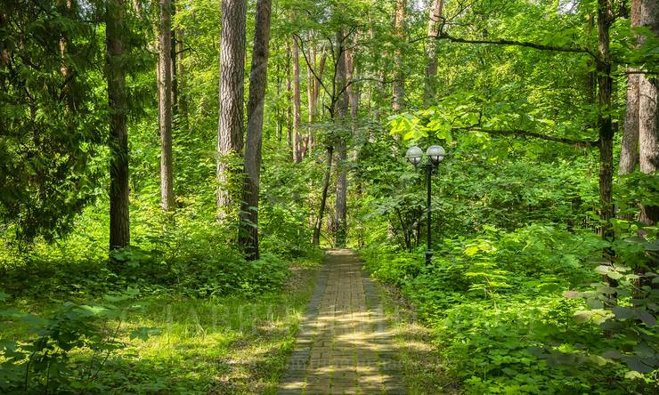 Лот-11648-386904 аренда дома Москва Серебряный бор