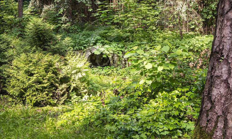 Лот-11648-386909 аренда дома Москва Серебряный бор