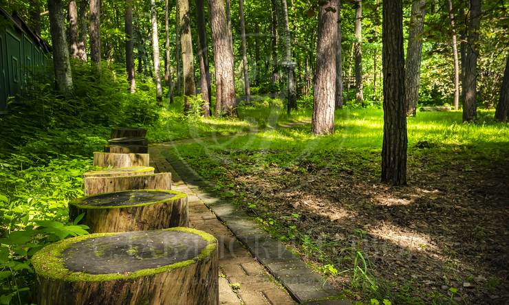 Лот-11648-386910 аренда дома Москва Серебряный бор