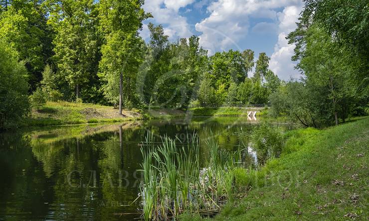 Лот-7057-389668 продажа дома Рублево-Успенское шоссе Ландшафт