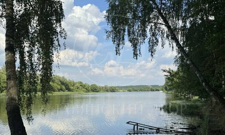 Лот-11394-390171 продажа участка Рублево-Успенское шоссе Жуковка Правая сторона