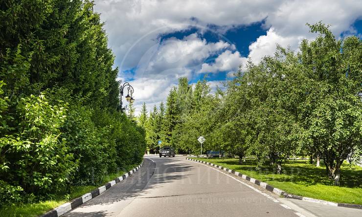 Лот-10583-390255 продажа участка Рублево-Успенское шоссе Горки-8