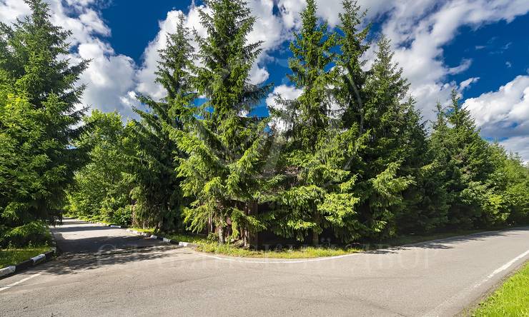 Лот-11637-390264 продажа участка Рублево-Успенское шоссе Горки-8