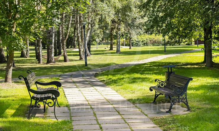 Лот-5208-390307 продажа участка Рублево-Успенское шоссе Петрово-Дальнее