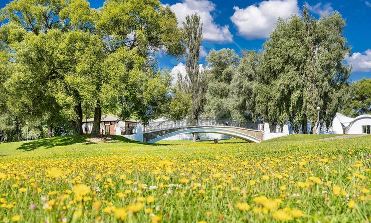 Лот-11261-390313 продажа участка Рублево-Успенское шоссе Петрово-Дальнее