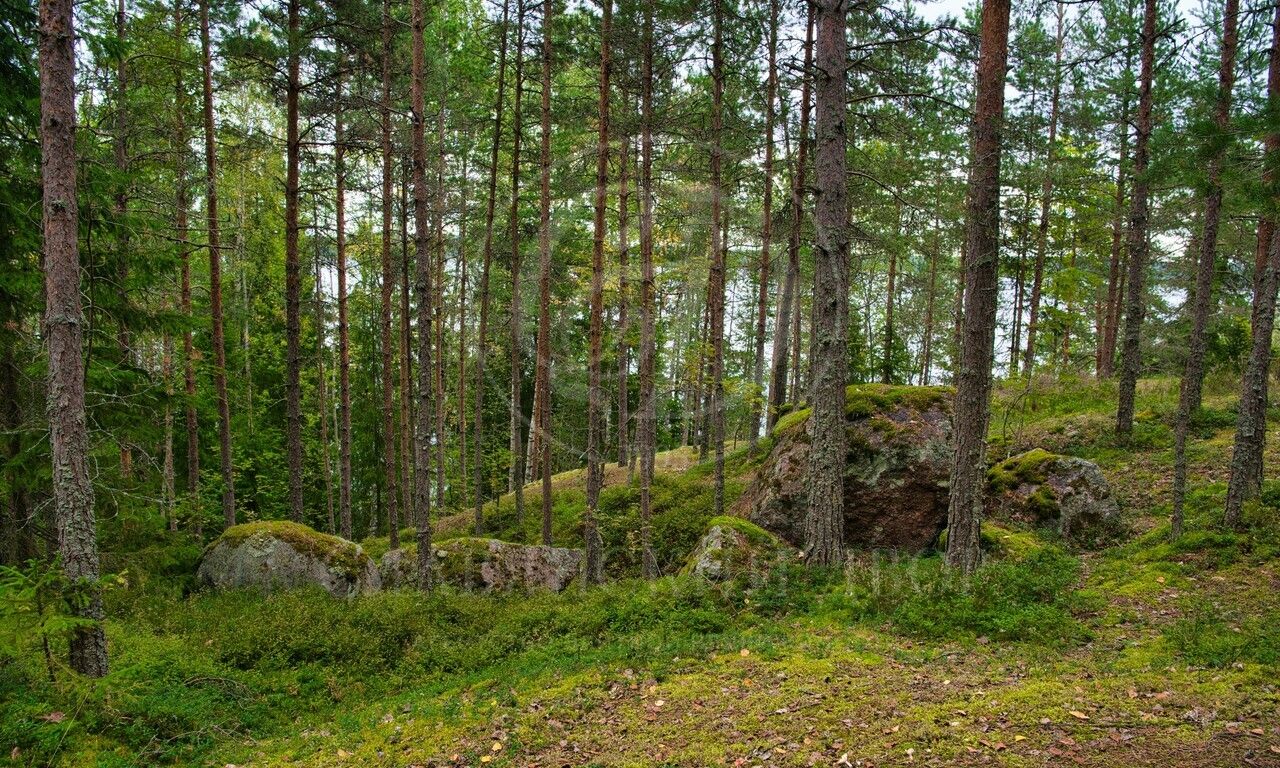 Продажа участка в поселке Жуковка-2