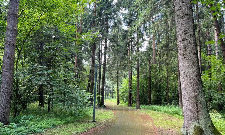 Лот-4852-390540 продажа участка 1-е Успенское шоссе Николино (Новое Николино)