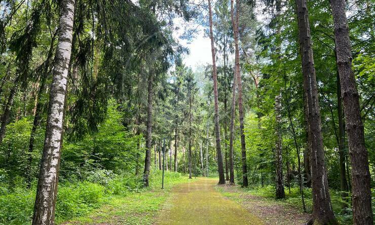 Лот-11181-390546 продажа участка 1-е Успенское шоссе Николино (Новое Николино)