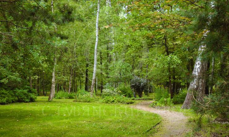 Лот-10943-391077 продажа дома Алтуфьевcкое шоссе Вешки