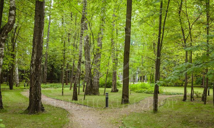 Лот-10316-391167 продажа участка Алтуфьевcкое шоссе Вешки