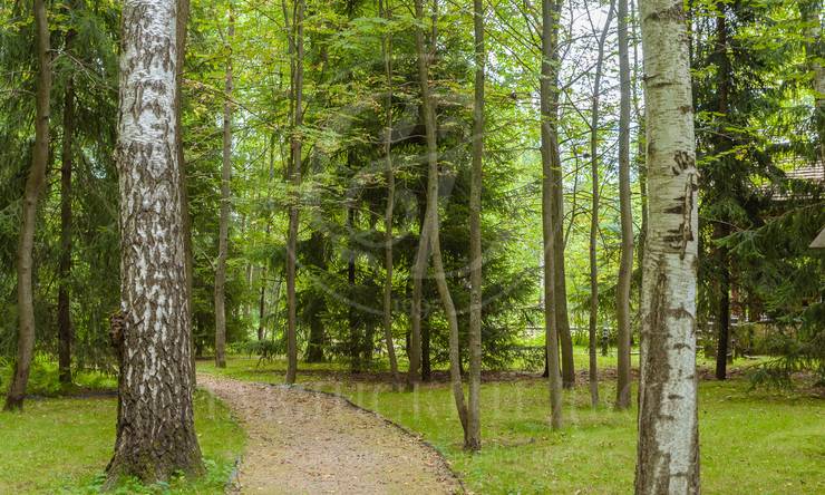 Лот-10316-391169 продажа участка Алтуфьевcкое шоссе Вешки