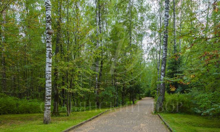 Лот-10316-391243 продажа участка Алтуфьевcкое шоссе Вешки