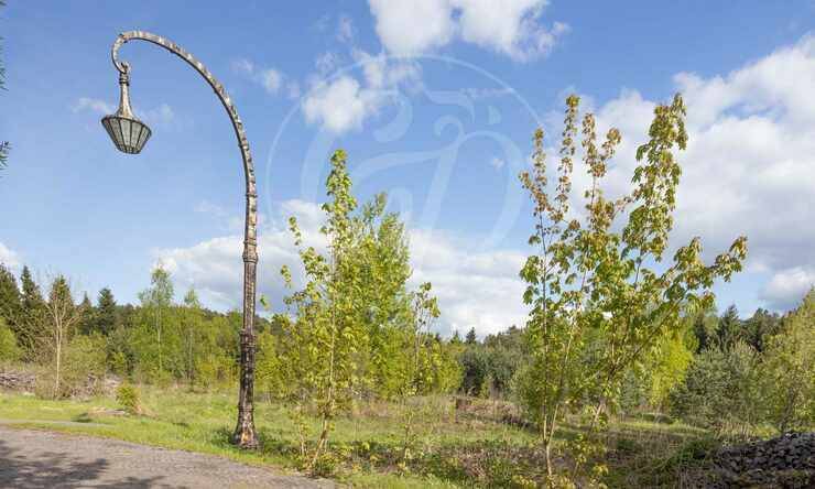 Лот-10057-391310 продажа участка Рублево-Успенское шоссе Зеленая Лощина