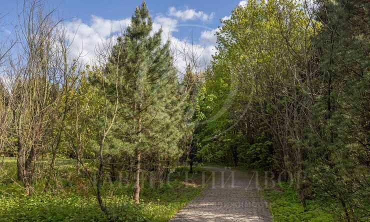 Лот-10057-391314 продажа участка Рублево-Успенское шоссе Зеленая Лощина