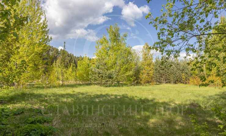 Лот-10057-391316 продажа участка Рублево-Успенское шоссе Зеленая Лощина