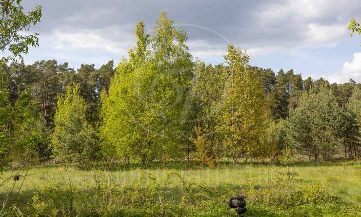 Лот-10057-391318 продажа участка Рублево-Успенское шоссе Зеленая Лощина