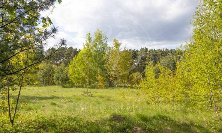 Лот-10057-391320 продажа участка Рублево-Успенское шоссе Зеленая Лощина