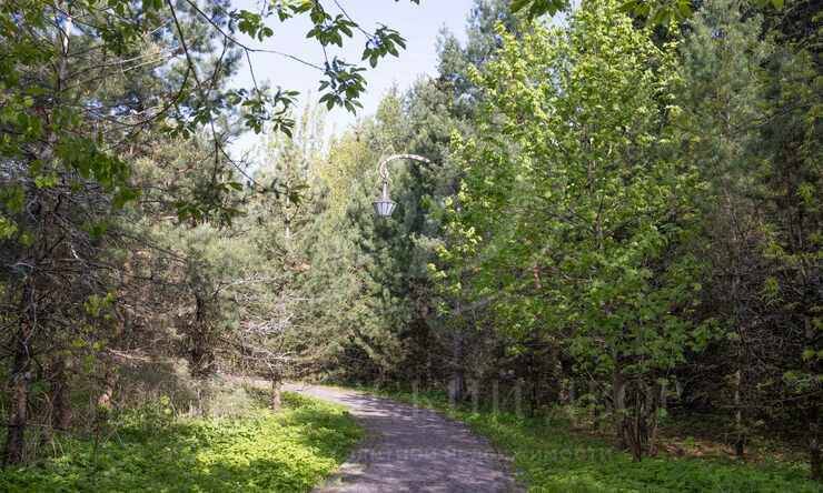 Лот-10057-391321 продажа участка Рублево-Успенское шоссе Зеленая Лощина