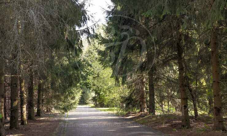 Лот-10057-391323 продажа участка Рублево-Успенское шоссе Зеленая Лощина