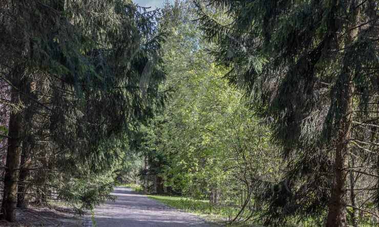 Лот-10057-391324 продажа участка Рублево-Успенское шоссе Зеленая Лощина