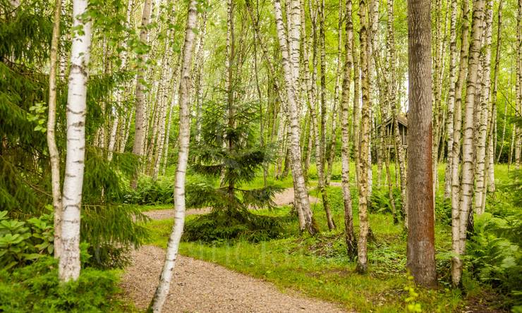 Лот-9570-391790 продажа дома Ленинградское шоссе Ивакино