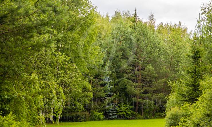 Лот-9570-391802 продажа дома Ленинградское шоссе Ивакино