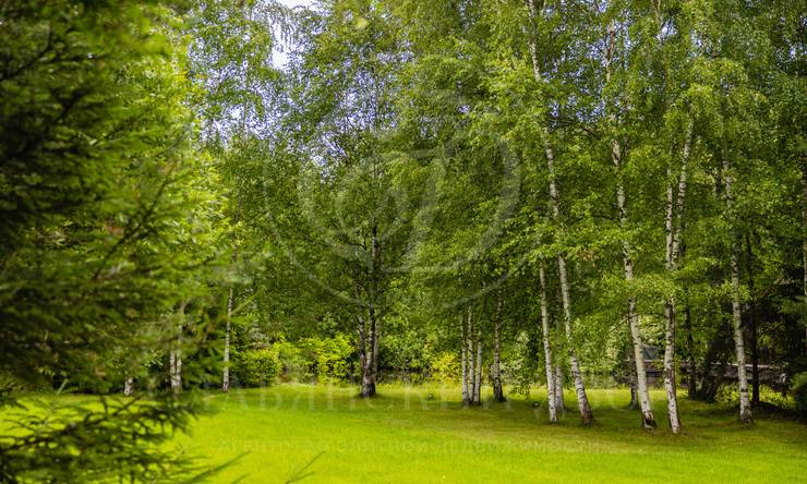 Лот-9570-391811 продажа дома Ленинградское шоссе Ивакино