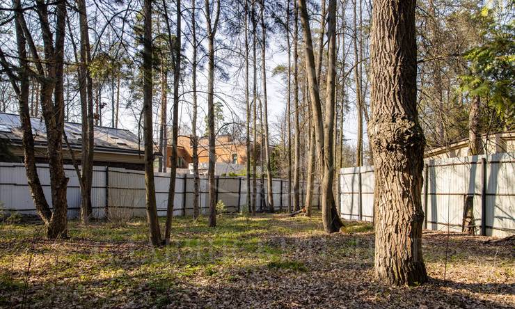 Лот-11099-392240 продажа участка Рублево-Успенское шоссе Ильинские дачи