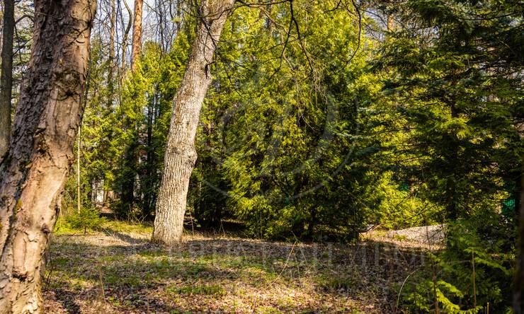 Лот-11099-392243 продажа участка Рублево-Успенское шоссе Ильинские дачи