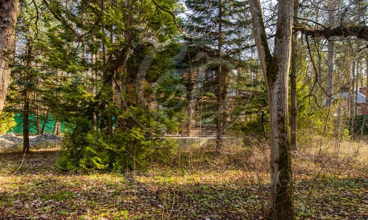 Лот-11099-392244 продажа участка Рублево-Успенское шоссе Ильинские дачи