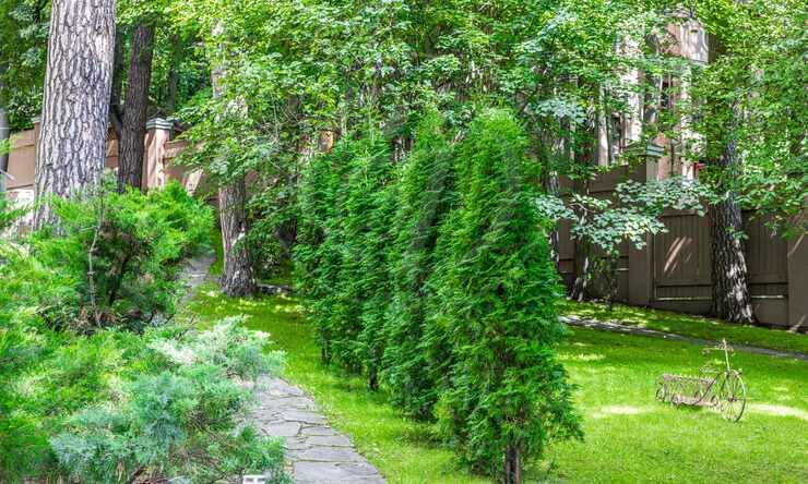 Лот-77-392821 продажа дома Рублево-Успенское шоссе РАПС