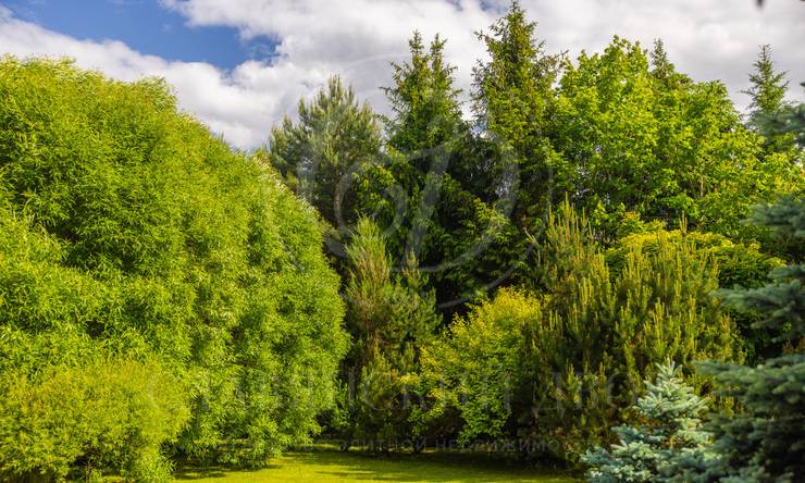 Лот-4826-393085 продажа дома Новорижское шоссе Никольская слобода