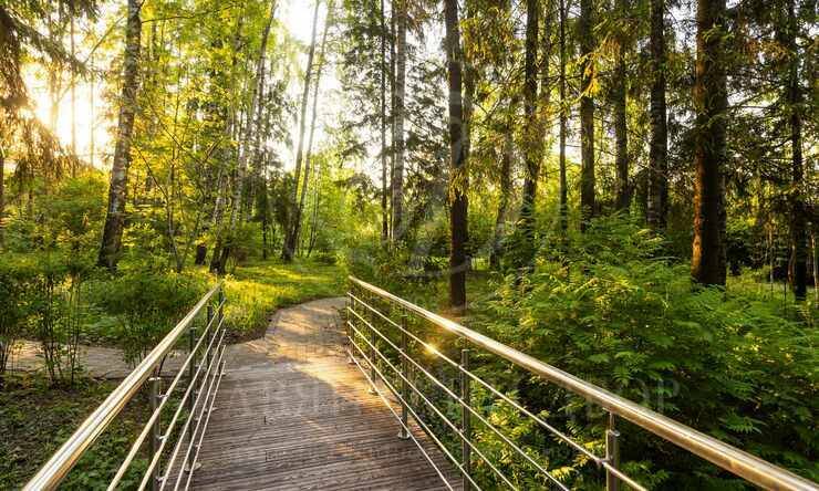 Лот-10963-394316 продажа дома Дмитровское шоссе Гольф и Яхт-клуб Пестово