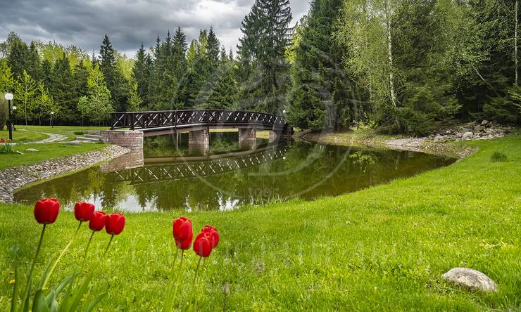 Лот-25-395773 посёлок Чигасово Рублево-Успенское шоссе Горки - 10