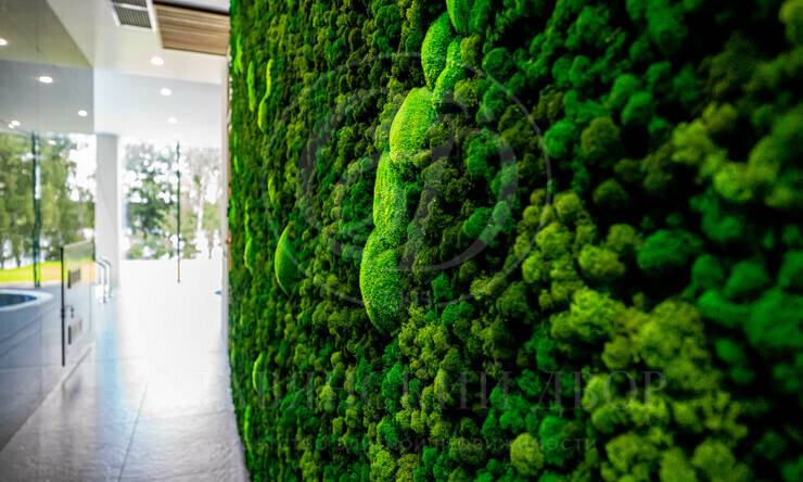 Лот-868-397034 продажа дома Дмитровское шоссе Немо