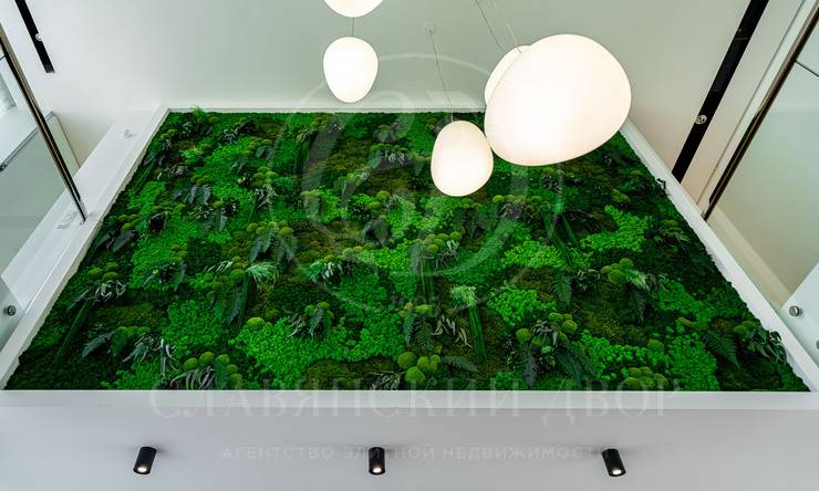 Лот-868-397041 продажа дома Дмитровское шоссе Немо