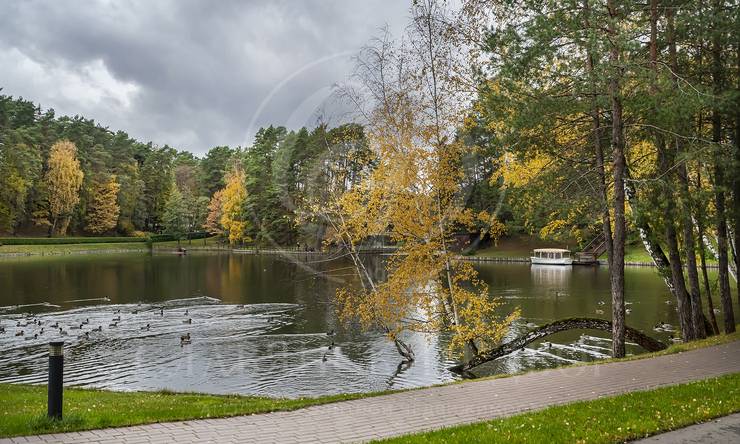 Лот-5337-397114 продажа дома Рублево-Успенское шоссе Мособлдачи (ТСЖ Барвиха)