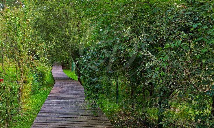 Лот-11742-398593 продажа дома Рублево-Успенское шоссе Горки-2