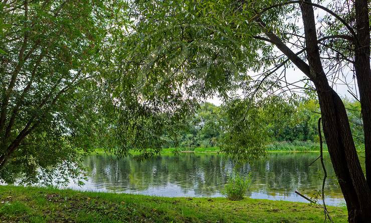 Лот-11742-398600 продажа дома Рублево-Успенское шоссе Горки-2