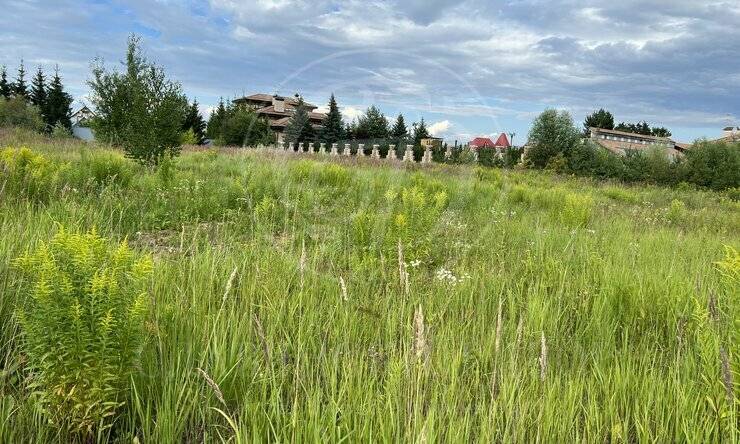 Лот-11763-400480 продажа участка Новорижское шоссе Маленькая Италия