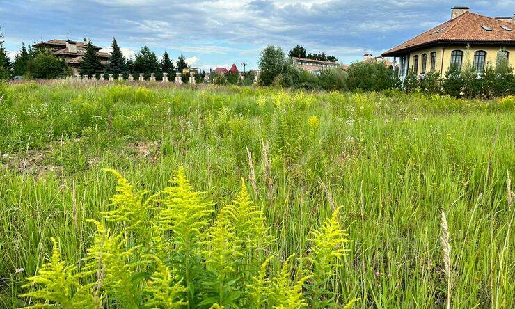 Лот-11763-400489 продажа участка Новорижское шоссе Маленькая Италия