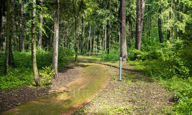 Лот-7017-400567 продажа участка 1-е Успенское шоссе Николино (Новое Николино)