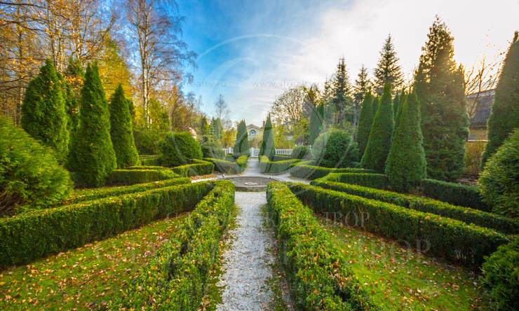 Лот-236-400970 посёлок Ромашково Рублево-Успенское шоссе Раздоры