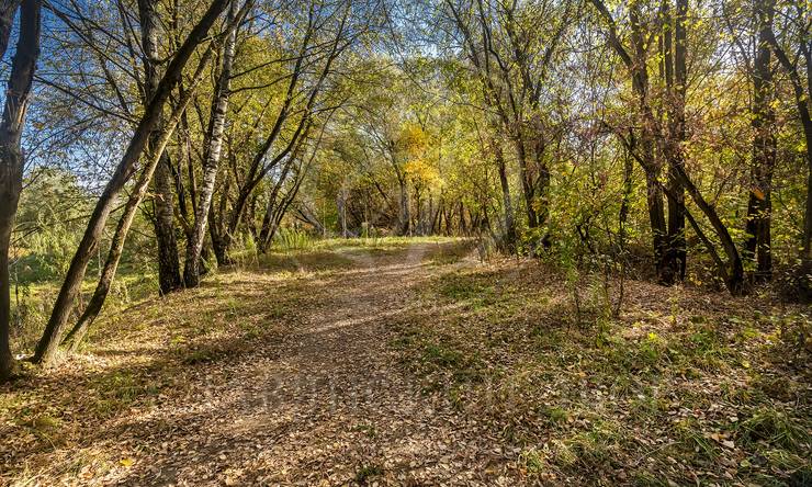 Лот-11747-401537 аренда дома Москва Серебряный бор