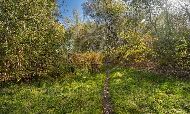 Лот-11747-401539 аренда дома Москва Серебряный бор