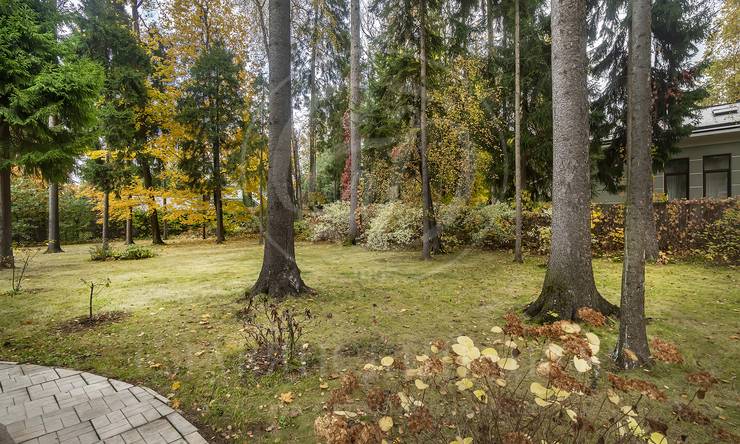 Лот-11670-402463 аренда дома Рублево-Успенское шоссе Ландшафт