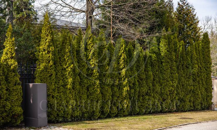 Лот-1515-404356 продажа дома Рублево-Успенское шоссе Ландшафт