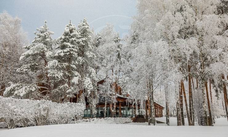 Лот-11595-404933 продажа дома Дмитровское шоссе Курорт Пирогово