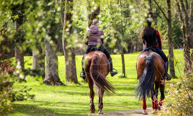 Лот-11595-404963 продажа дома Дмитровское шоссе Курорт Пирогово