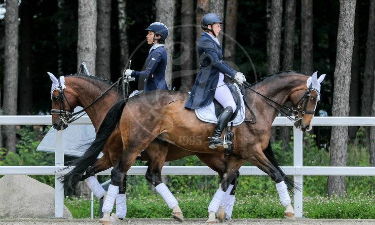 Лот-11815-405007 продажа дома Дмитровское шоссе Курорт Пирогово